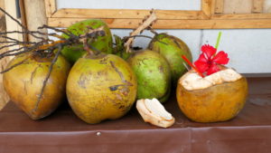 Kokosnüsse zum Trinken vorbereitet