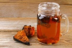 Vitalpilz Chaga